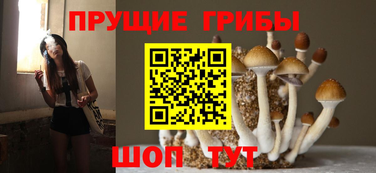 Ипатово  Галлюциногенные грибы Psilocybine cubensis  Вход с VPN  Галлюциногенные грибы Psilocybine cubensis 
